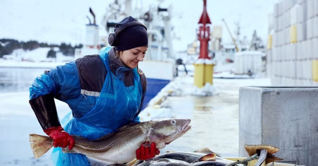 Fish Farm Worker Jobs in Norway